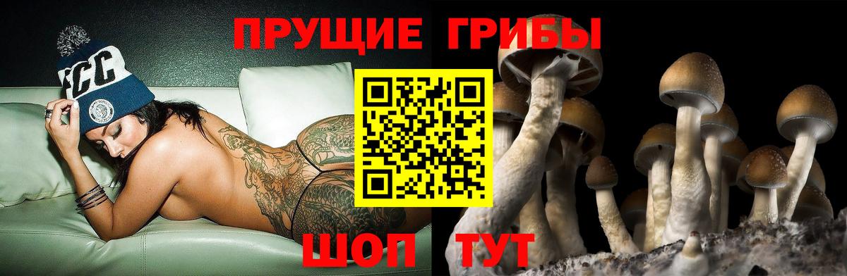 Тамбов  Псилоцибиновые грибы ЛСД  Вход с VPN 